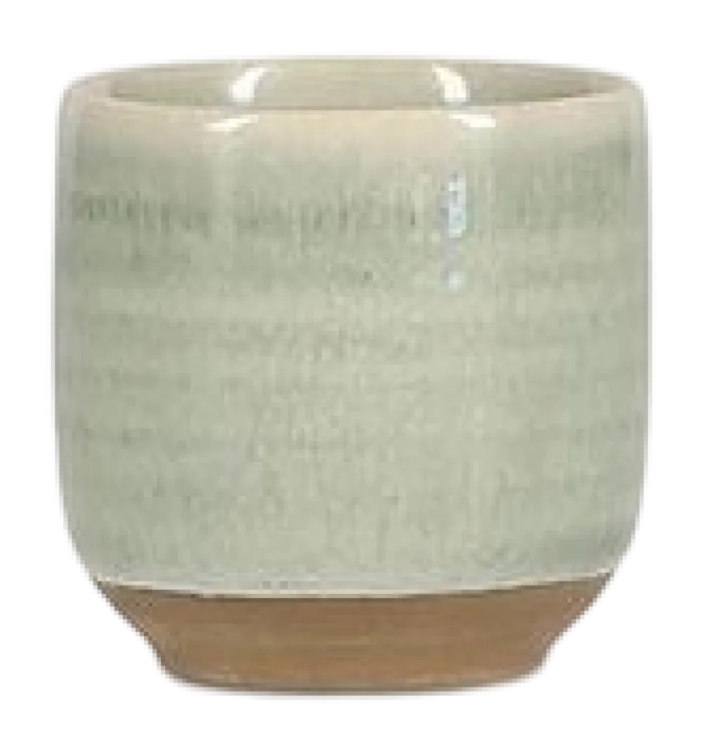 Salt & Pepper Eierdop Cameo Green (Set van 4) Best