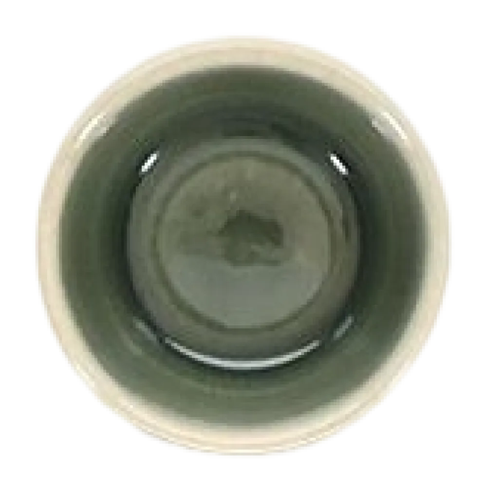 Salt & Pepper Eierdop Cameo Green (Set van 4) Best