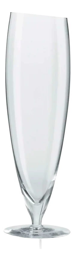 Eva Solo Bierglas Groot 500 ml (Set van 6)