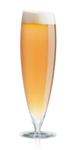 Eva Solo Bierglas Large (2-delig) Hot
