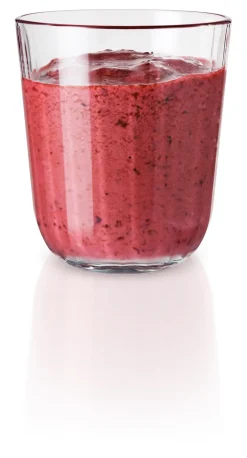 Eva Solo Waterglas Tumbler 270 ml (6-delig) Online