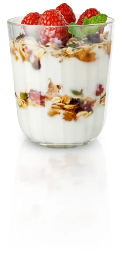 Eva Solo Waterglas Tumbler 270 ml (6-delig) Online