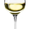 Eva Solo Wijnglas Riesling 300 ml