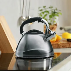 Fluitketel Kela Varus Zilver 3L