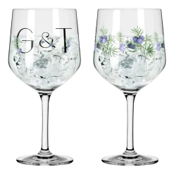 Ritzenhoff Gin & Tonicglas Botanic Lights #5 #6 720 ml (Set van 2)