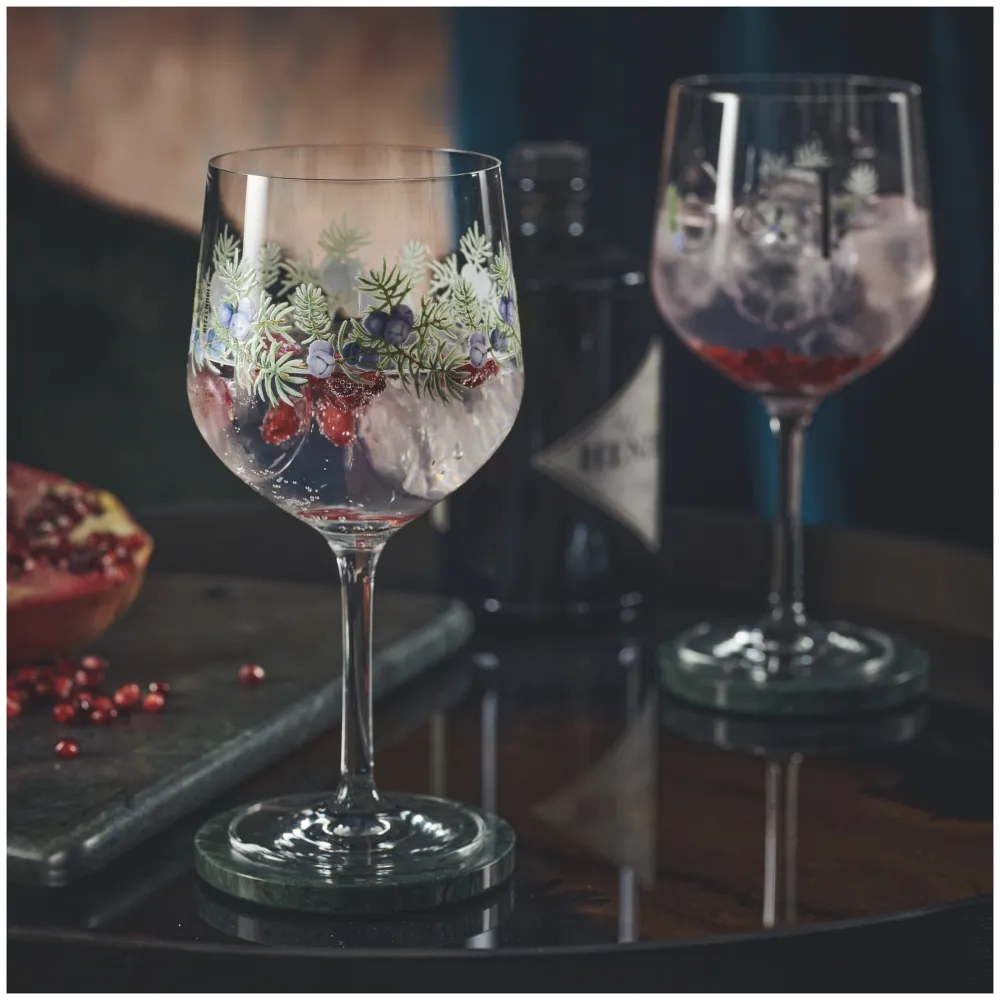 Ritzenhoff Gin & Tonicglas Botanic Lights #5 #6 720 ml (Set van 2)