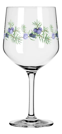 Ritzenhoff Gin & Tonicglas Botanic Lights #5 #6 720 ml (Set van 2)