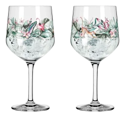 Ritzenhoff Gin & Tonicglas Schattenfauna #5 #6 720 ml (Set van 2) Hot