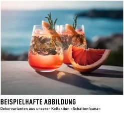 Ritzenhoff Gin & Tonicglas Schattenfauna #5 #6 710 ml (Set van 2) Best