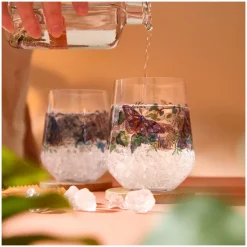 Ritzenhoff Gin & Tonicglas Schattenfauna #7 #8 710 ml (Set van 2) Online