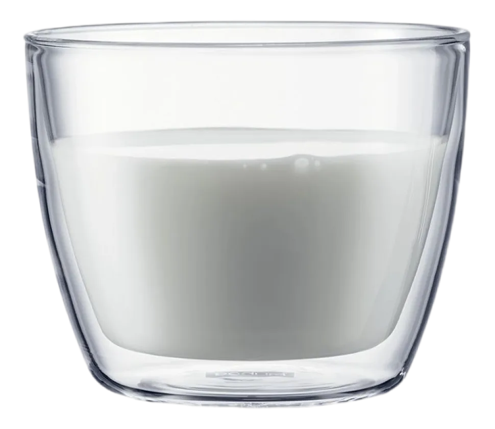 Glas Bodum Bistro Large Transparent 450 ml (Set van 2)