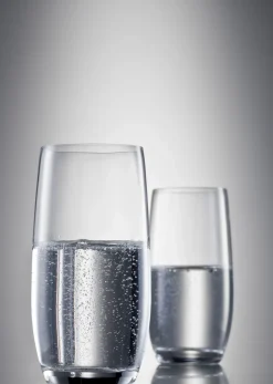 Schott Zwiesel Glas Banquet 320 ml (6-delig) Online