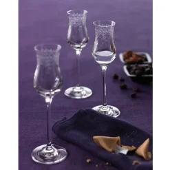 Grappaglas Leonardo Chateau 90ml (6-delig)
