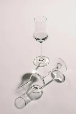 Grappaglas Schott Zwiesel Bar Special (Classico) 95 ml (Set van 6)