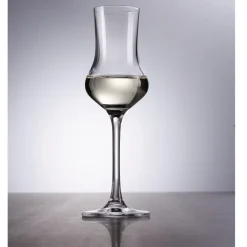 Schott Zwiesel Grappaglas Classico (6-delig) Outlet