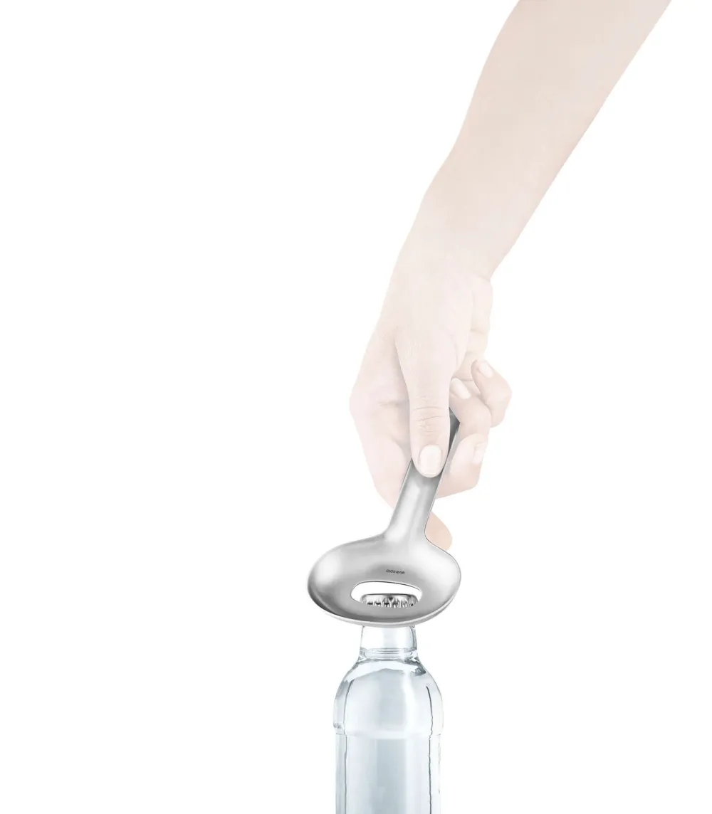 Eva Solo IJsemmer Liquid Lounge Brushed Steel