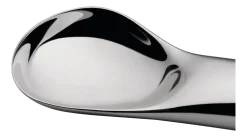 IJsschep Alessi Koki