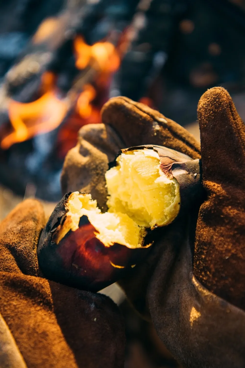 Snow Peak Keukenhandschoen Fireside