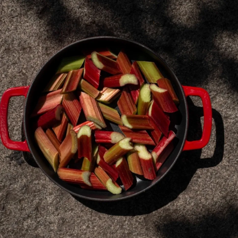 Koekenpan Combekk Skillet Red 24 cm