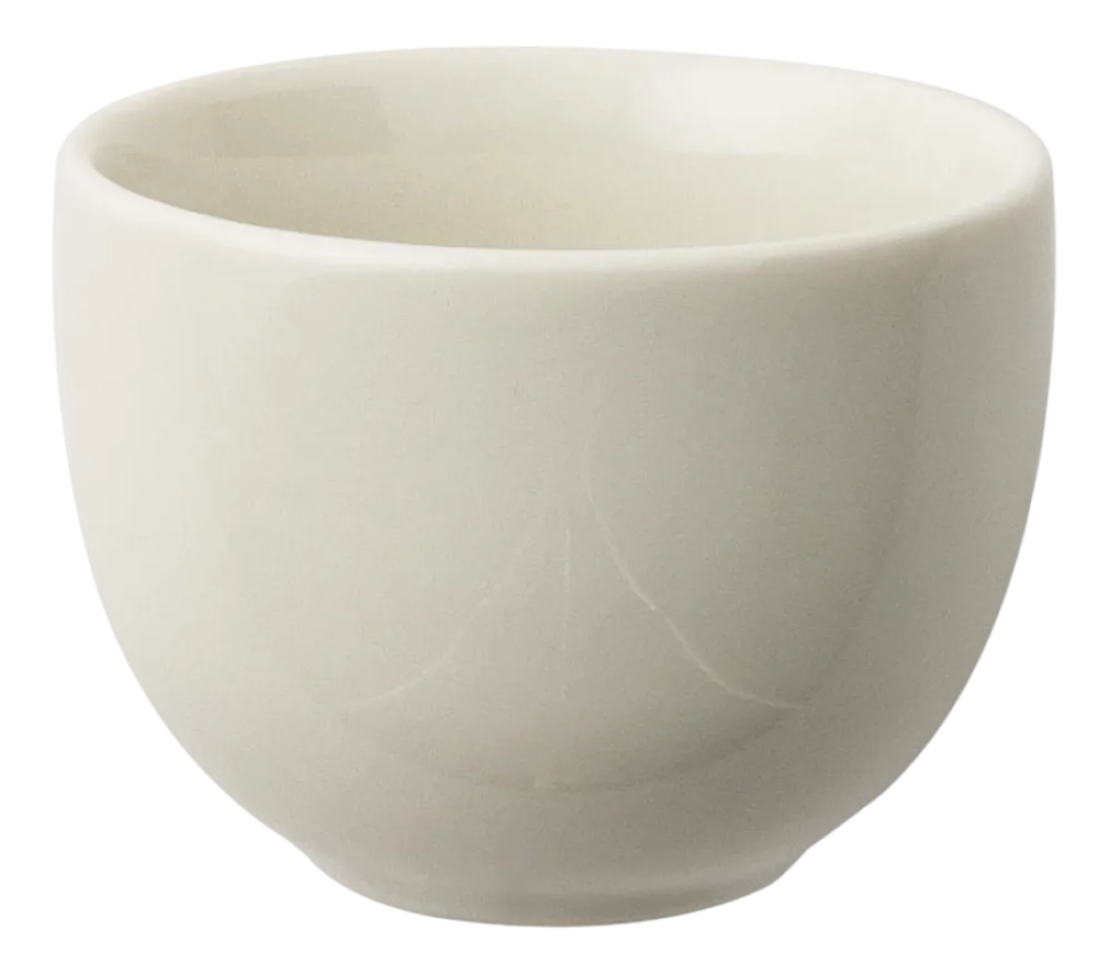 Arthur Krupp Koffiekop Porcelain Eclipse Day 100 ml Best