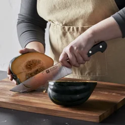 Zwilling Koksmes Pro 20 cm Best