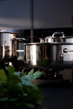 Fissler Kookpan Viseo Pro Laag Met Glazen Deksel 20 cm Discount