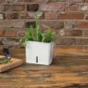 Kruidenpot Cole & Mason Met Waterreservoir
