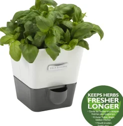Kruidenpot Cole & Mason Met Waterreservoir