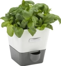 Kruidenpot Cole & Mason Met Waterreservoir