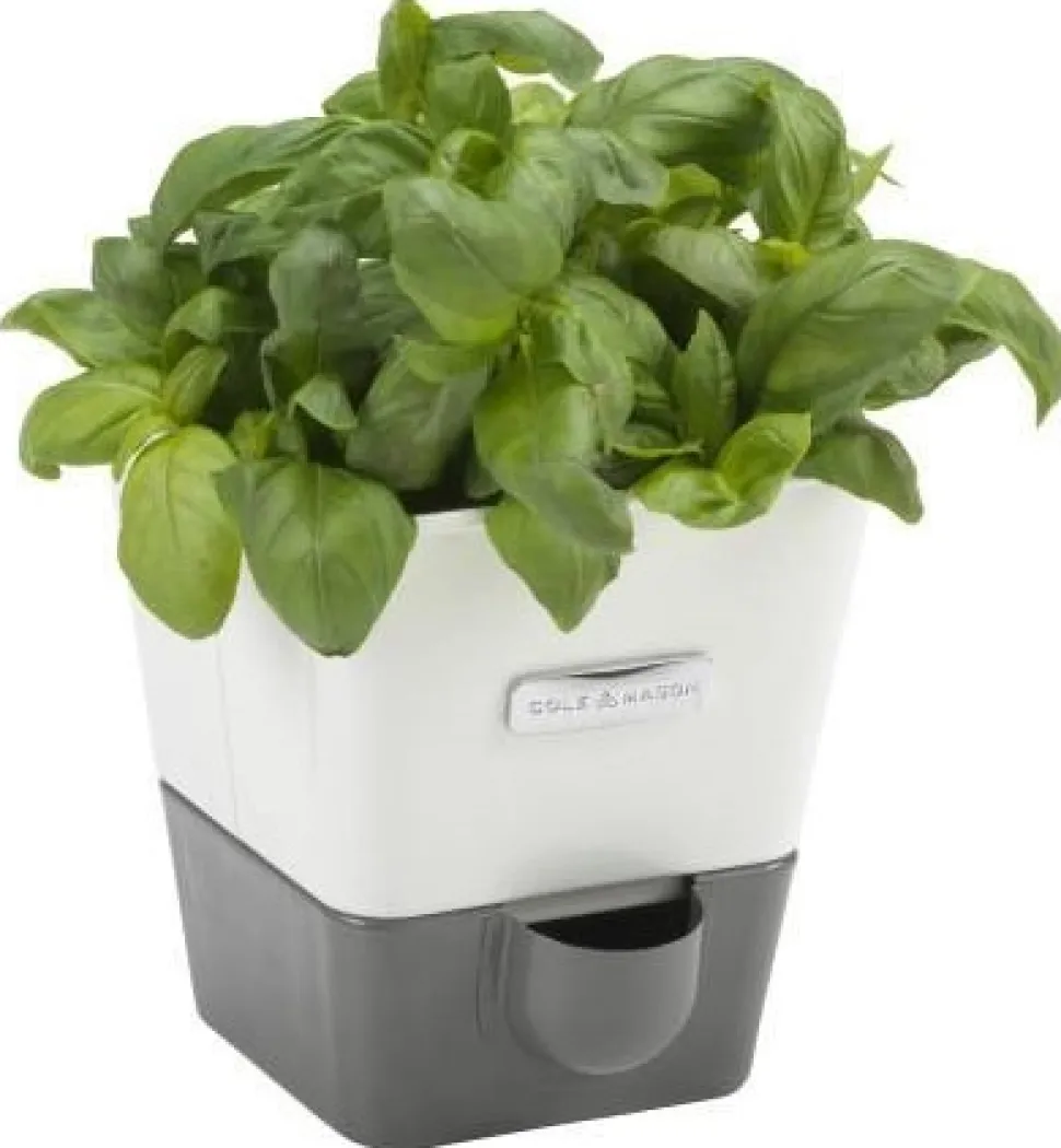 Kruidenpot Cole & Mason Met Waterreservoir