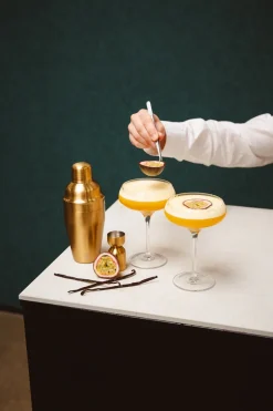 Leopold Vienna Martini Cocktailset Arinto