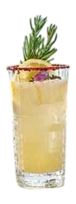 Bormioli Rocco Longdrinkglas Bartender Este 290 ml (Set van 6) Online