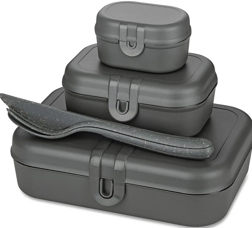 Koziol Lunchbox Bio-Circulair Pascal Ready Nature Ash Grey (6-Delig) Hot