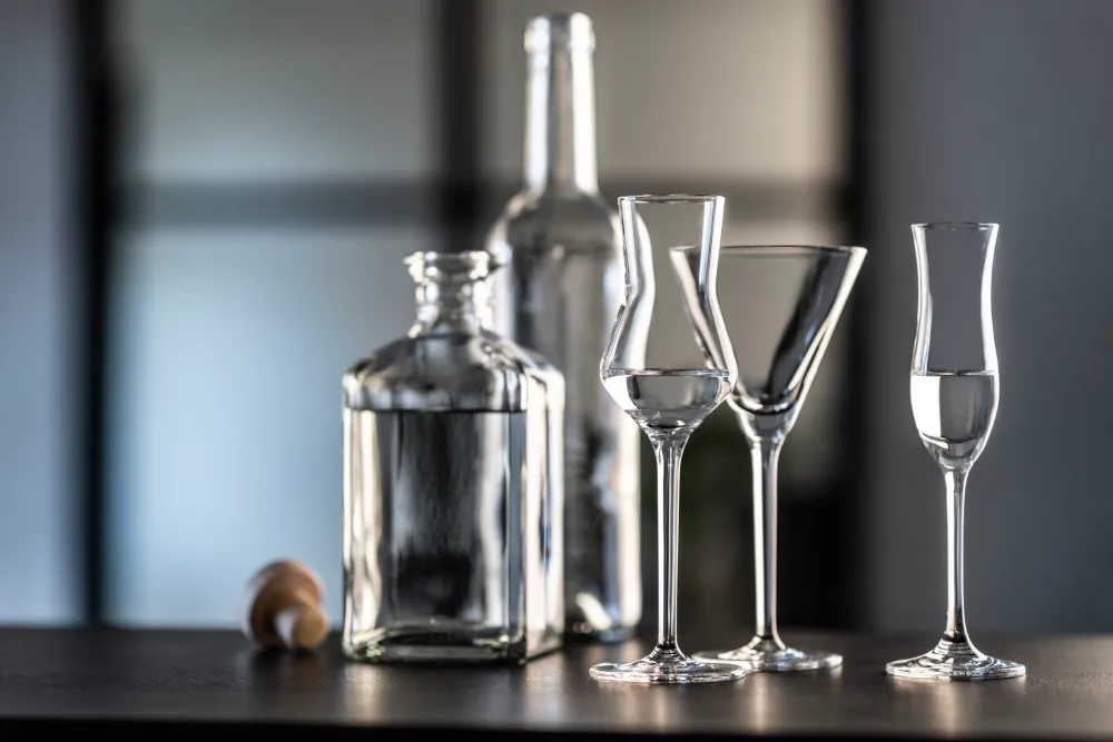 Schott Zwiesel Martiniglas Mondial (6-delig) New