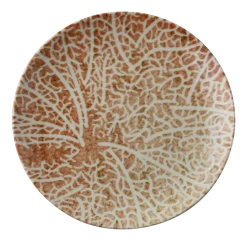 Ontbijtbord Arthur Krupp Porcelain Nature Essence C 20 cm