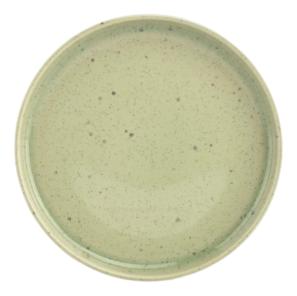 Ontbijtbord Salt & Pepper Blush Groen 22 cm (Set van 4)