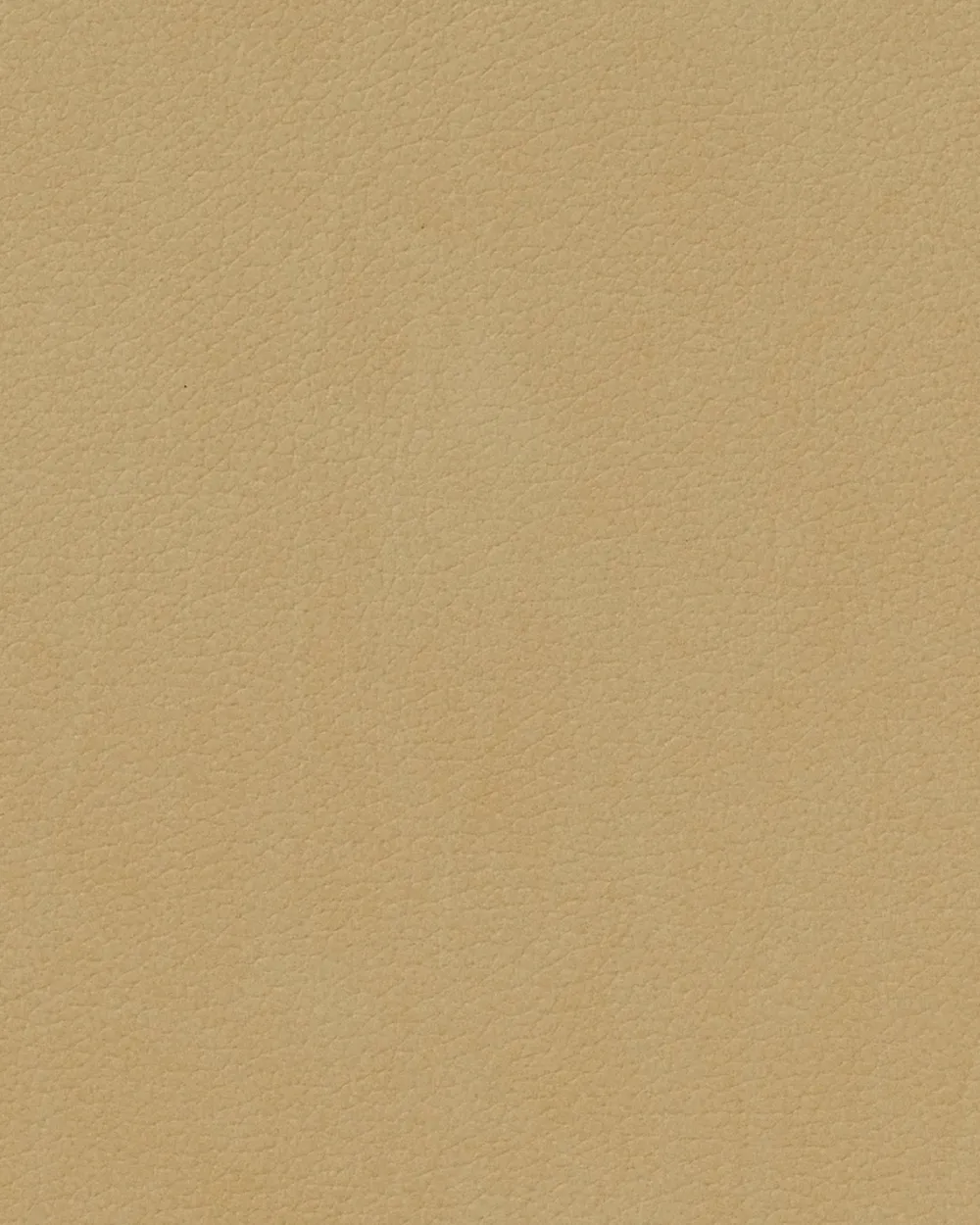 Lind DNA Placemat Square L Nupo Khaki (Set van 4) Online