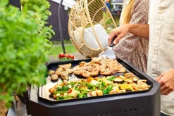 Cozze Plancha G-500 2 Branders