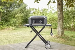 Cozze Plancha G-500 2 Branders