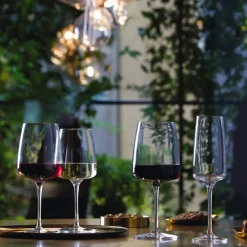 Bormioli Rocco Rode Wijnglas Planeo 54 cl (Set van 4) Online