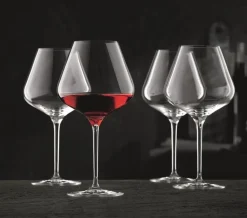Rode Wijnglas Nachtmann ViNova 840 ml (4-delig)