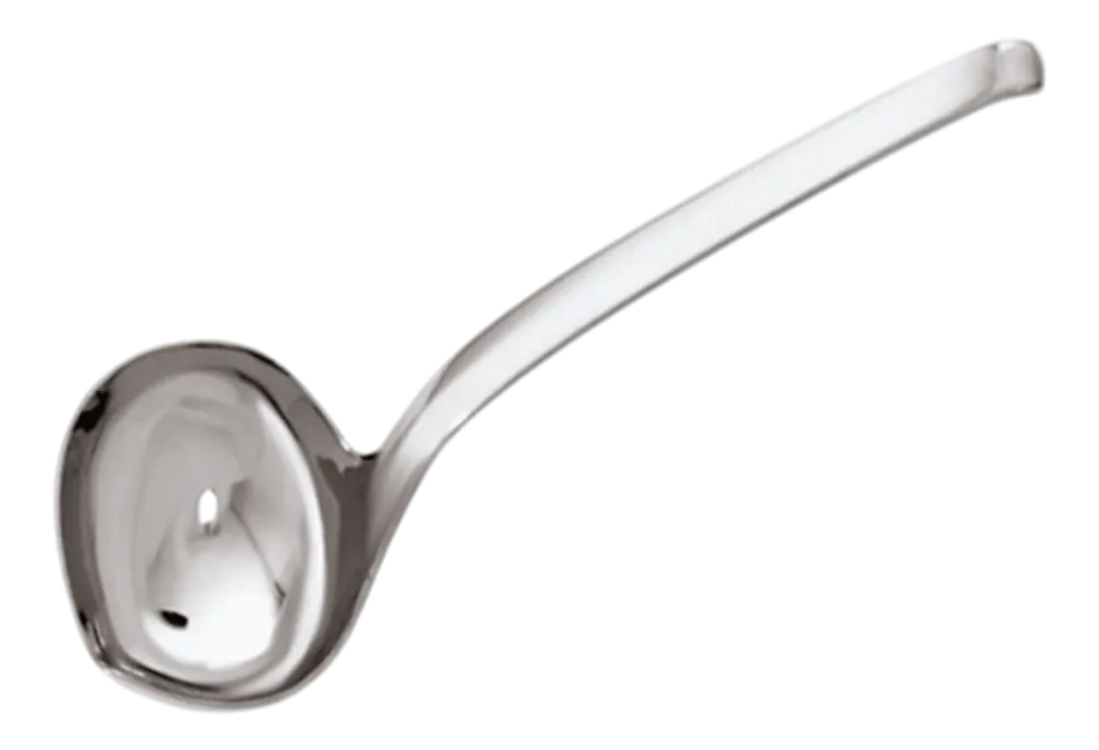 Sambonet Sauslepel Living 16,5 cm Online