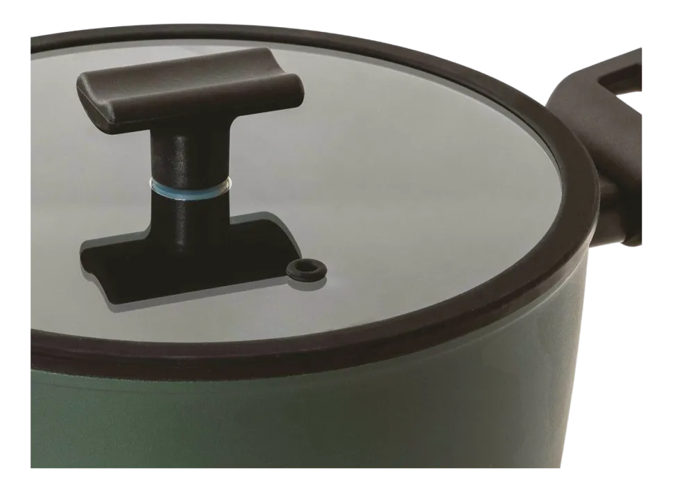 Sauspan Sambonet Titan Pro Green Double Induction 2 Handles 24 cm