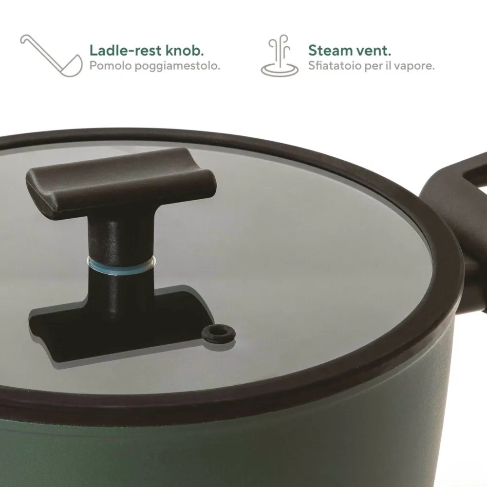 Sambonet Sauspan Titan Pro Green Double Induction 2 Handles 20 cm Outlet