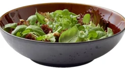 Bitz Schaal Gastro Zwart Amber 24 cm Discount