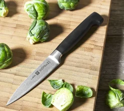 Zwilling Schilmes Four Star 10 cm Online