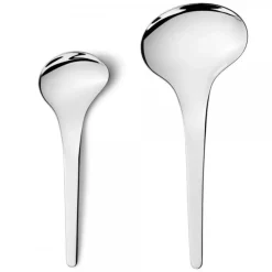 Serveerlepel Georg Jensen Bloom RVS Glanzend (2-delig)