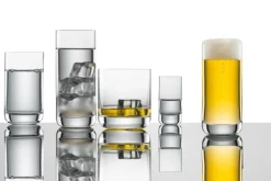 Schott Zwiesel Shotglas Simple (Convention) 46 ml (Set van 6)