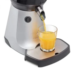 Espressions Slowjuicer the Juicer Silver