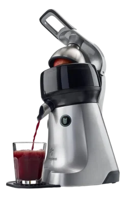 Espressions Slowjuicer the Juicer Silver